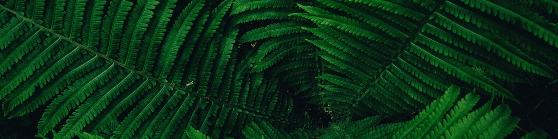 Younited® en OZD helpen zorg-zzp'ers aan een kwaliteitsdossier