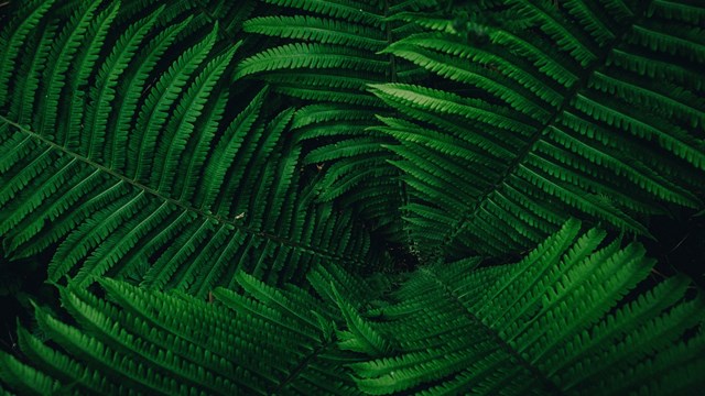 Younited® en OZD helpen zorg-zzp'ers aan een kwaliteitsdossier