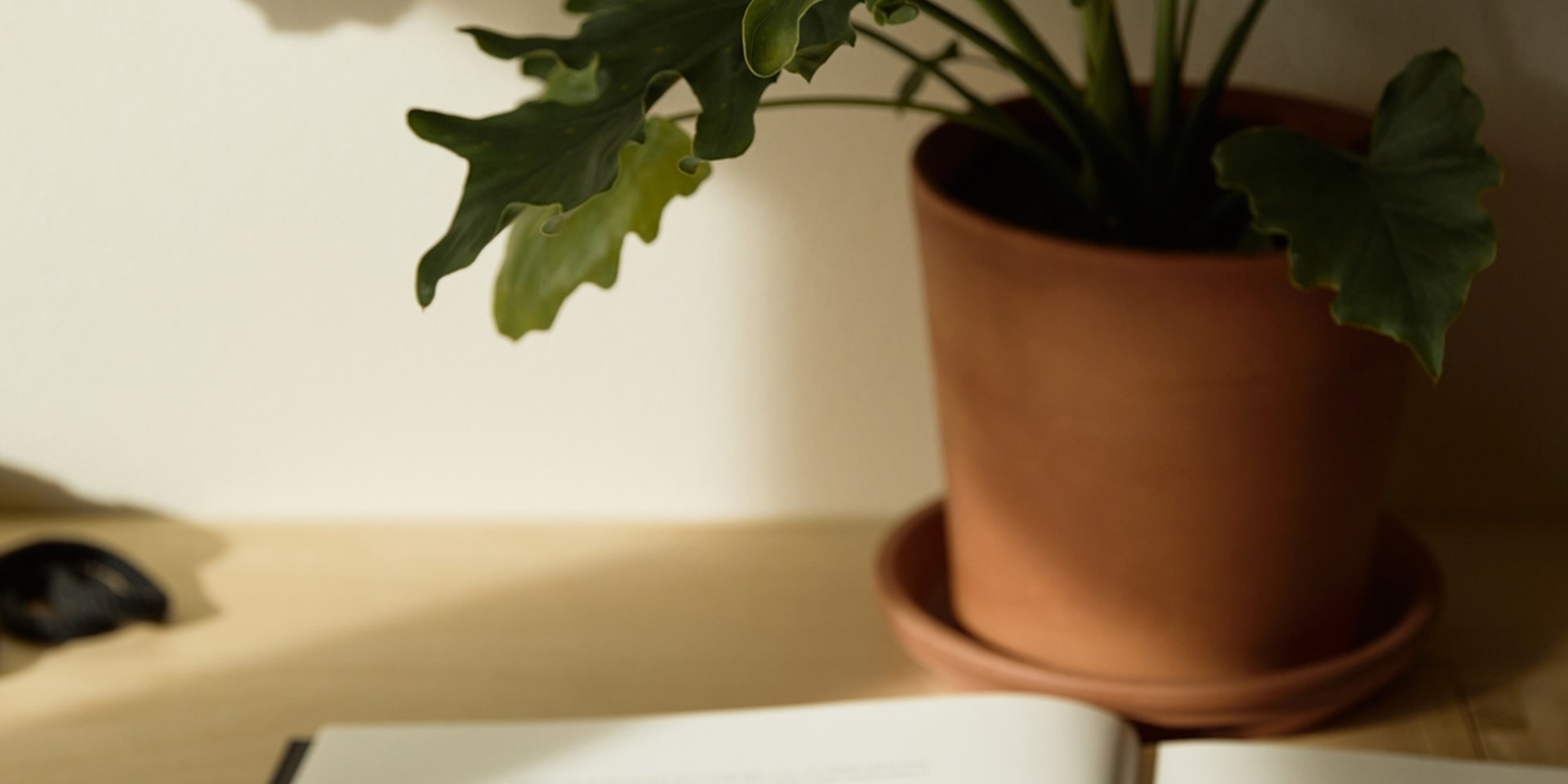 Cheat sheet: een goede start op je opdracht