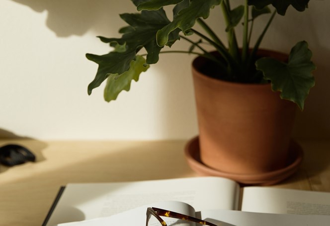 Hulp bij je administratie